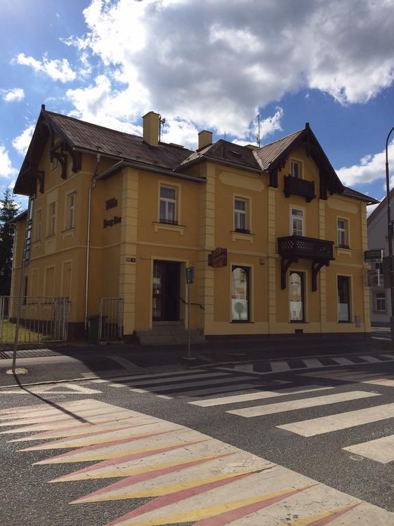 Pension Vidhous 1 Frantiskovy Lazne Exterior photo
